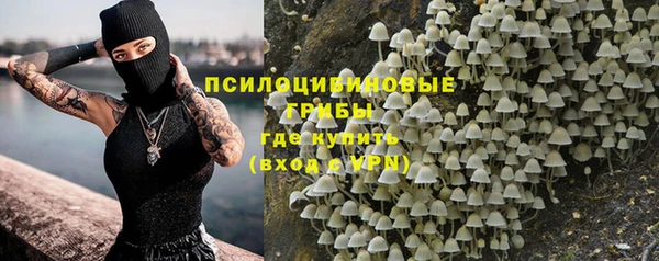 эйфоретик Баксан