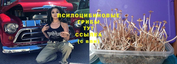 эйфоретик Баксан