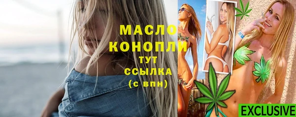 ECSTASY Пересвет