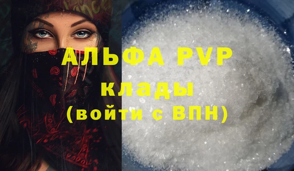 эйфоретик Баксан
