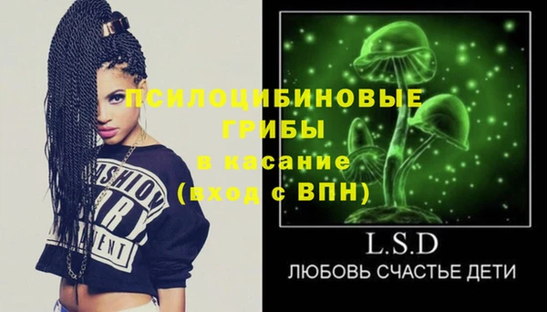 эйфоретик Баксан